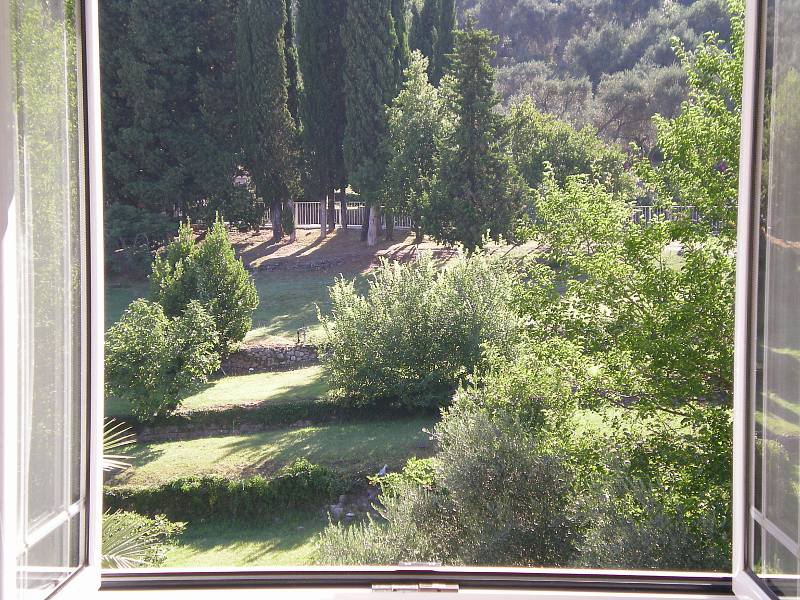 The view from the room